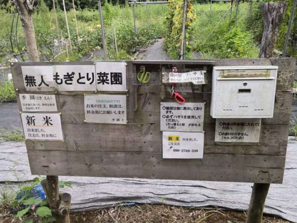 なすが1個10円と激安！　千葉県の『無人もぎとり菜園』が楽しすぎてスゴい