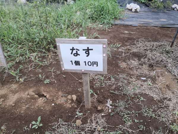 なすが1個10円と激安！　千葉県の『無人もぎとり菜園』が楽しすぎてスゴい