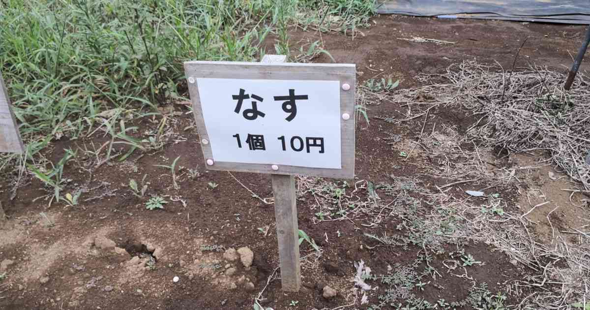 なすが1個10円と激安！　千葉県の『無人もぎとり菜園』が楽しすぎてスゴい – しらべぇ ｜ 気になるアレを大調査ニュース！