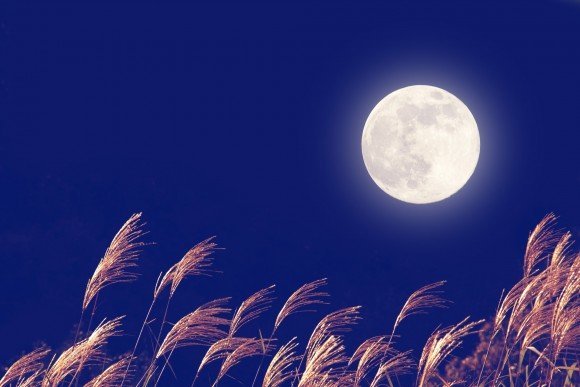 中秋の名月だから月の画像を貼ろう