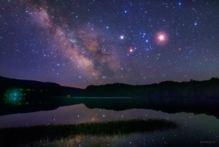 【画像】星のトピ