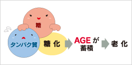 食品の中に「老ける物質」が発生…電子レンジの使いすぎで老化促進?