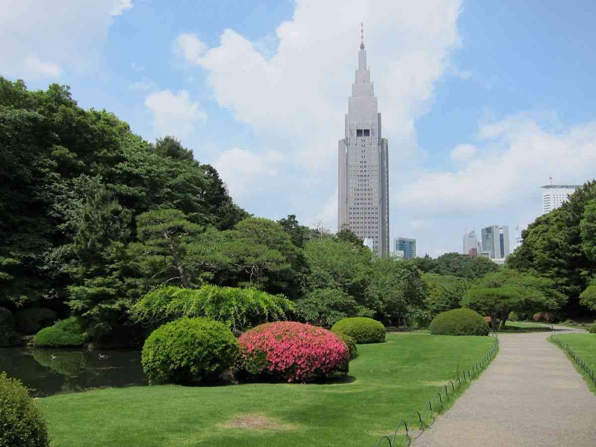 怒鳴られトラウマに…外国人を無料で入園　新宿御苑