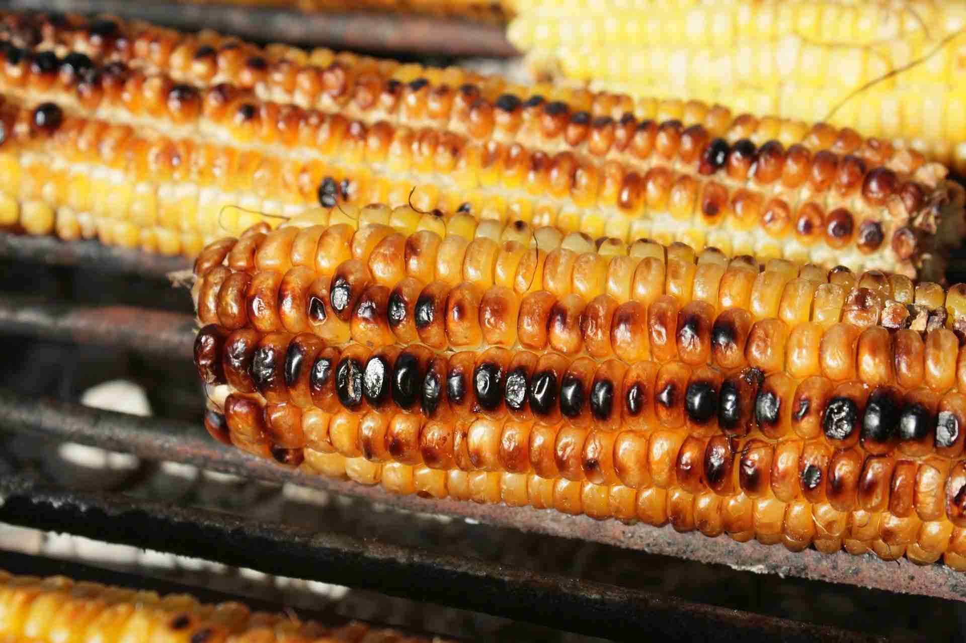 トマト、ジャガイモ、ナッツ…人体に害を及ぼす恐れのある5つの人気食品　