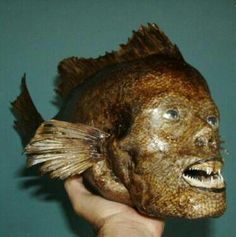 何かを言うと誰かが返事をしてくれるトピ