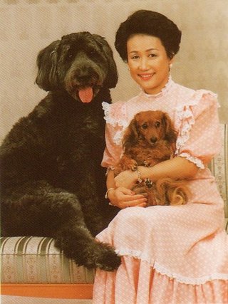 小室圭さん、残高証明難しく留学ビザ取得ならず 一時帰国か