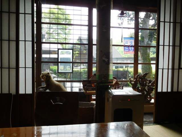 レトロな部屋で一人暮らししてる人