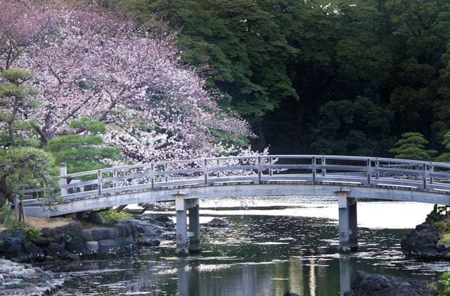「外国人が怖くて…」　2500万円分の入園券をタダで渡していた新宿御苑の管理体制に批判殺到 – しらべぇ ｜ 気になるアレを大調査ニュース！
