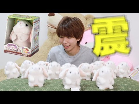 言葉をマネしながら激動するうさぎさんを大量に設置wwwwww - YouTube