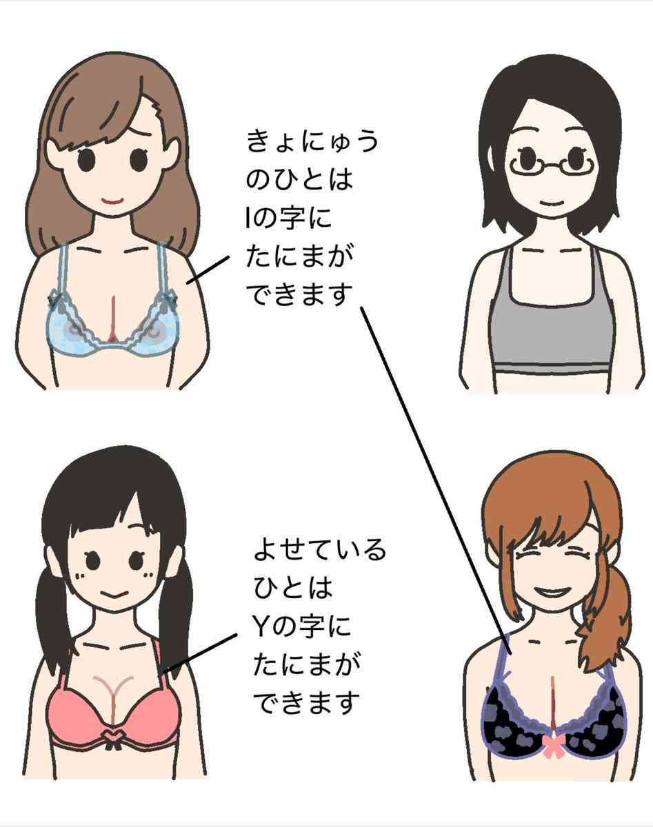 どこからが巨乳？【批判・中傷なし】 | ガールズちゃんねる - Girls Channel -