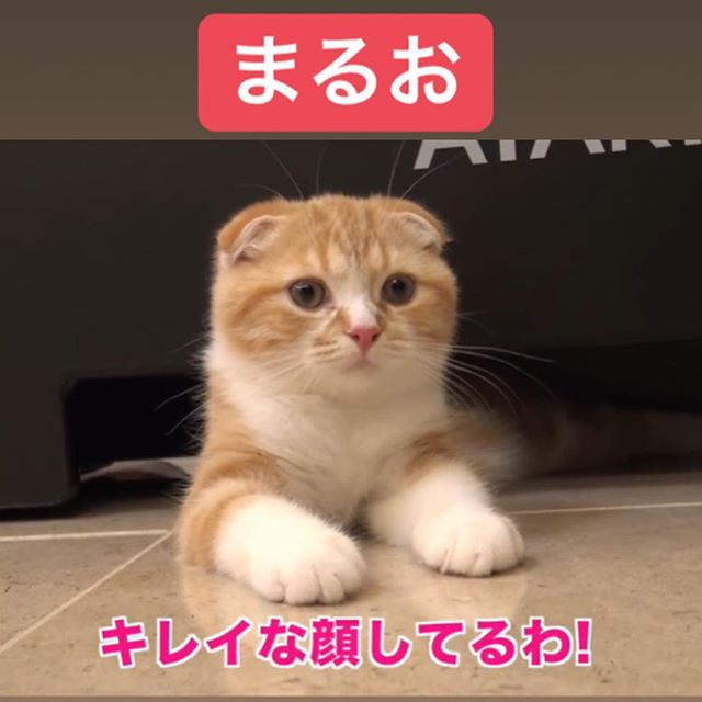 叩きトピに疲れた人Part9