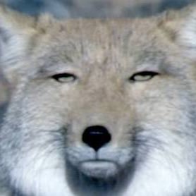 BTS（防弾少年団）問題に言及した斎藤司に賛否「よく言ってくれた」と喜びの声も