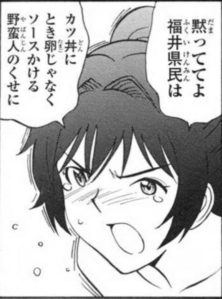 全国のいろんなカツ丼について語ろう!