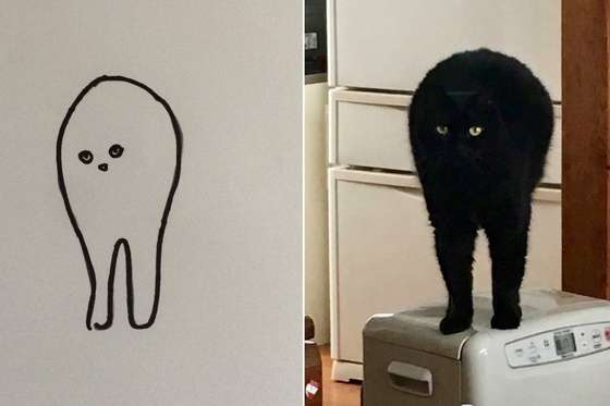 嘘みたいな画像を貼るトピ