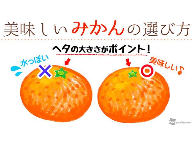 美味しい野菜、果物の見分け方