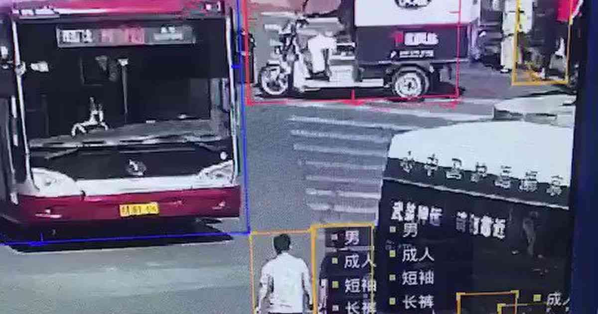 中国の監視カメラ映像のデータ分析に驚き「男・成人・短袖…まるでSF映画の世界」 - Togetter