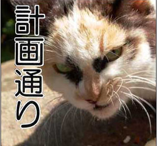 動物のboketeを貼るトピpart2