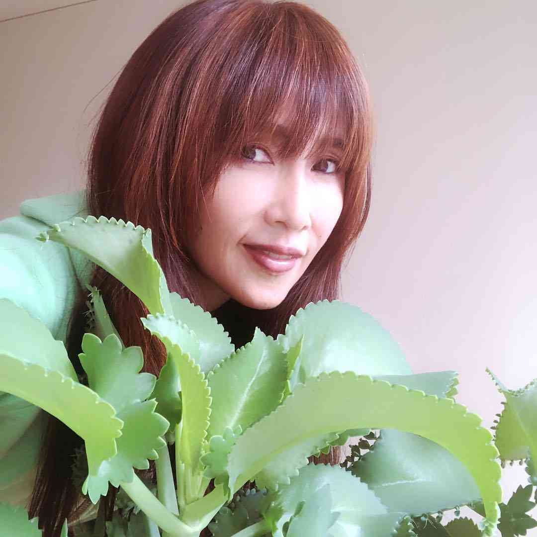 工藤静香、ロングヘアを10cmバッサリ　イメチェンに反響