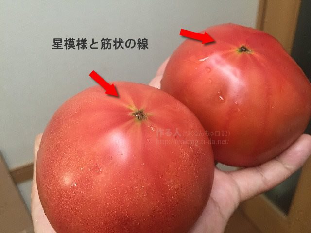 美味しい野菜、果物の見分け方