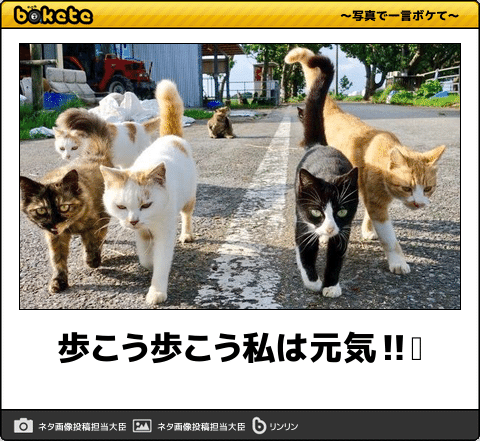 有酸素運動好きな人ー！