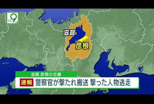 独特だと思う画像を貼ってみるトピ