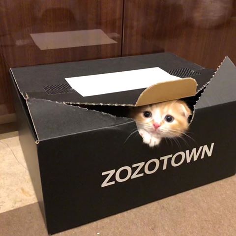 叩きトピに疲れた人Part9