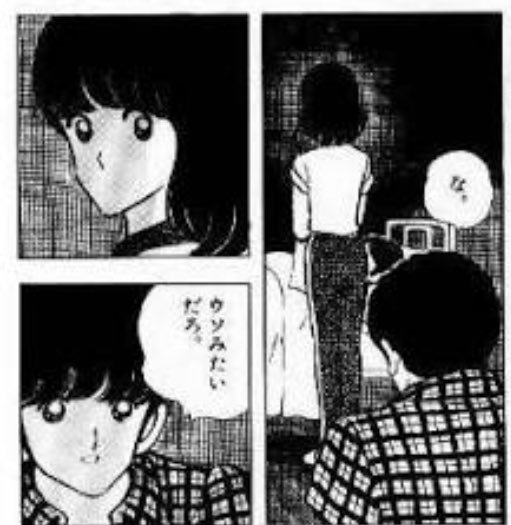 嘘みたいな画像を貼るトピ