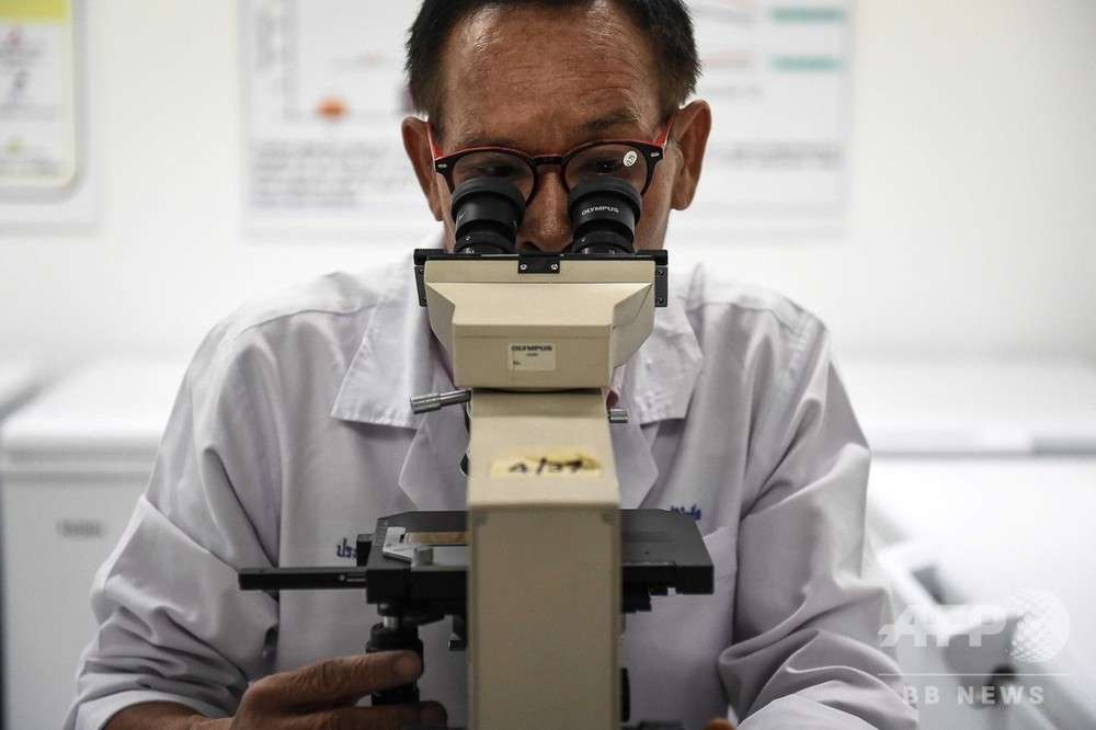 児童虐待、被害者に残る「分子の傷跡」 研究　写真1枚　国際ニュース：AFPBB News