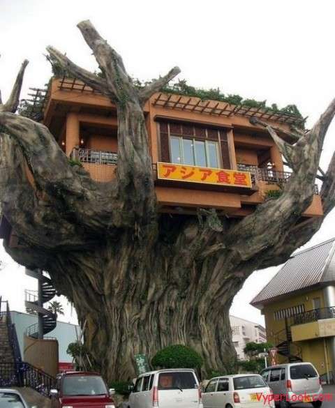 嘘みたいな画像を貼るトピ