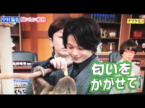 中村倫也、ナマケモノに餌付けする - YouTube