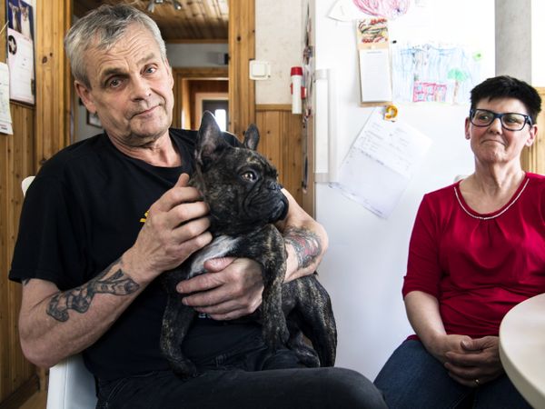 スウェーデン：＜少子高齢化＞→＜移民受入+高税率＞→＜移民が予算を食い尽くす＞→＜高齢者が邪魔＞ | ナスタチウムのブログ