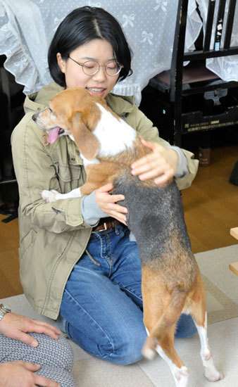 ペットになった元実験犬「しょうゆ」　獣医大生が譲渡願い出る（時事通信） - Yahoo!ニュース
