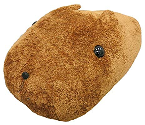 また流行りそうなもの