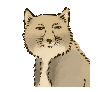 猫か象かチベスナの画像を張るトピ