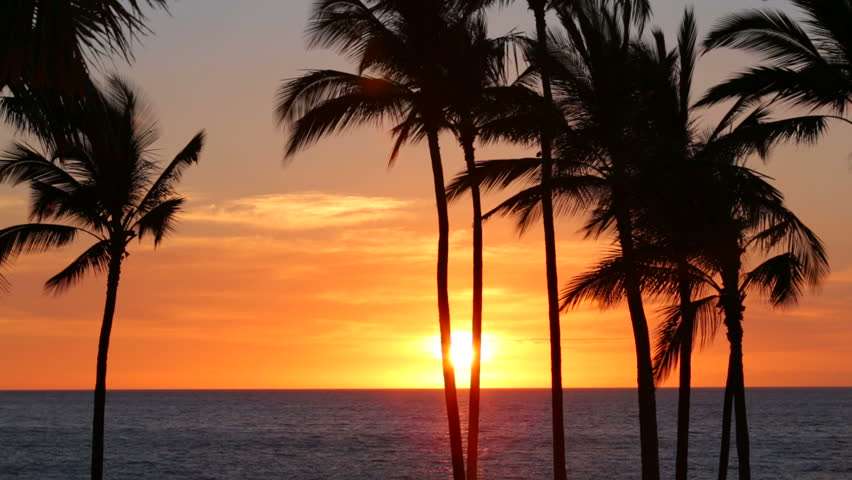 【イケメン】最近見たかっこいい男【癒し】