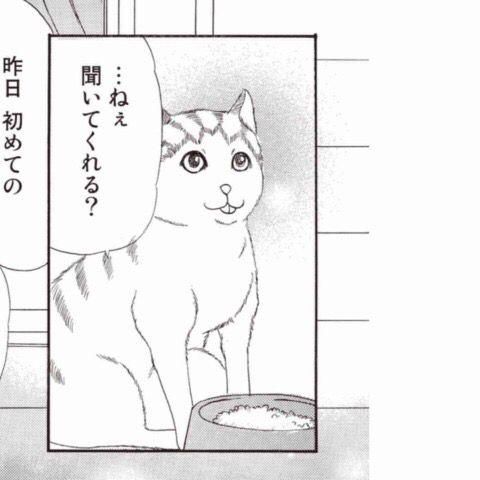 ガルちゃんでよく貼られる好きな画像