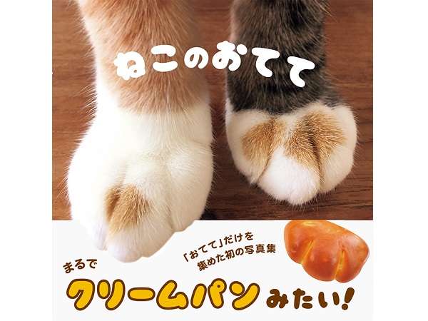 「パンを盗まれてしまった」犯人の猫さんは離す気ゼロで超絶必死な表情が全力で和む