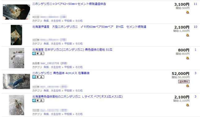 絶滅危惧種のオークション出品が相次ぐ　専門家「生き物への侮辱」と警鐘