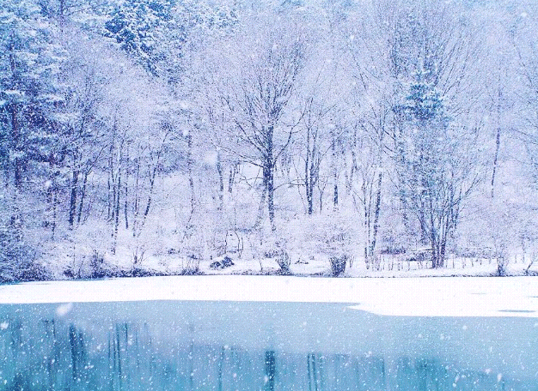 雪景色の画像が見たい