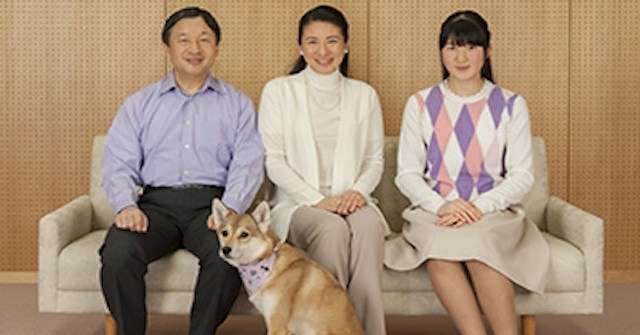 【愛子さまの深い愛】すべて保護犬や保護猫を育て「犬も猫も殺処分されない世の中に」と… | てんぴぼし