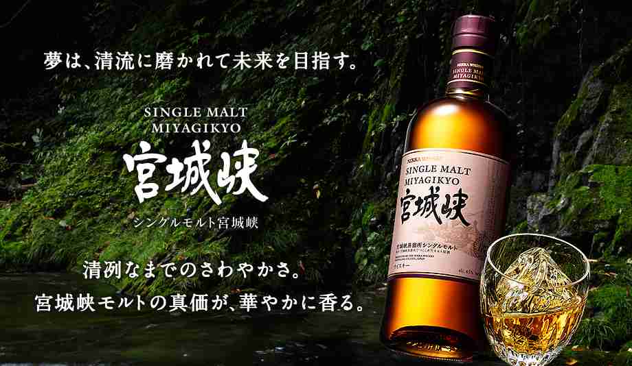 飲んだことあるお酒にプラスPart2