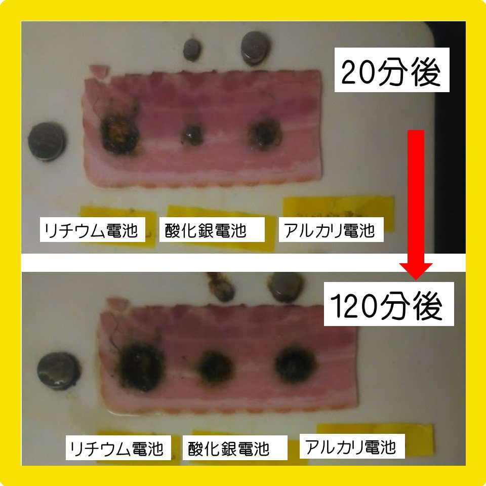   「ボタン電池」の誤飲はこんなに危険！ベーコンを胃の粘膜に見立てた実験が怖すぎる - トゥギャッチ