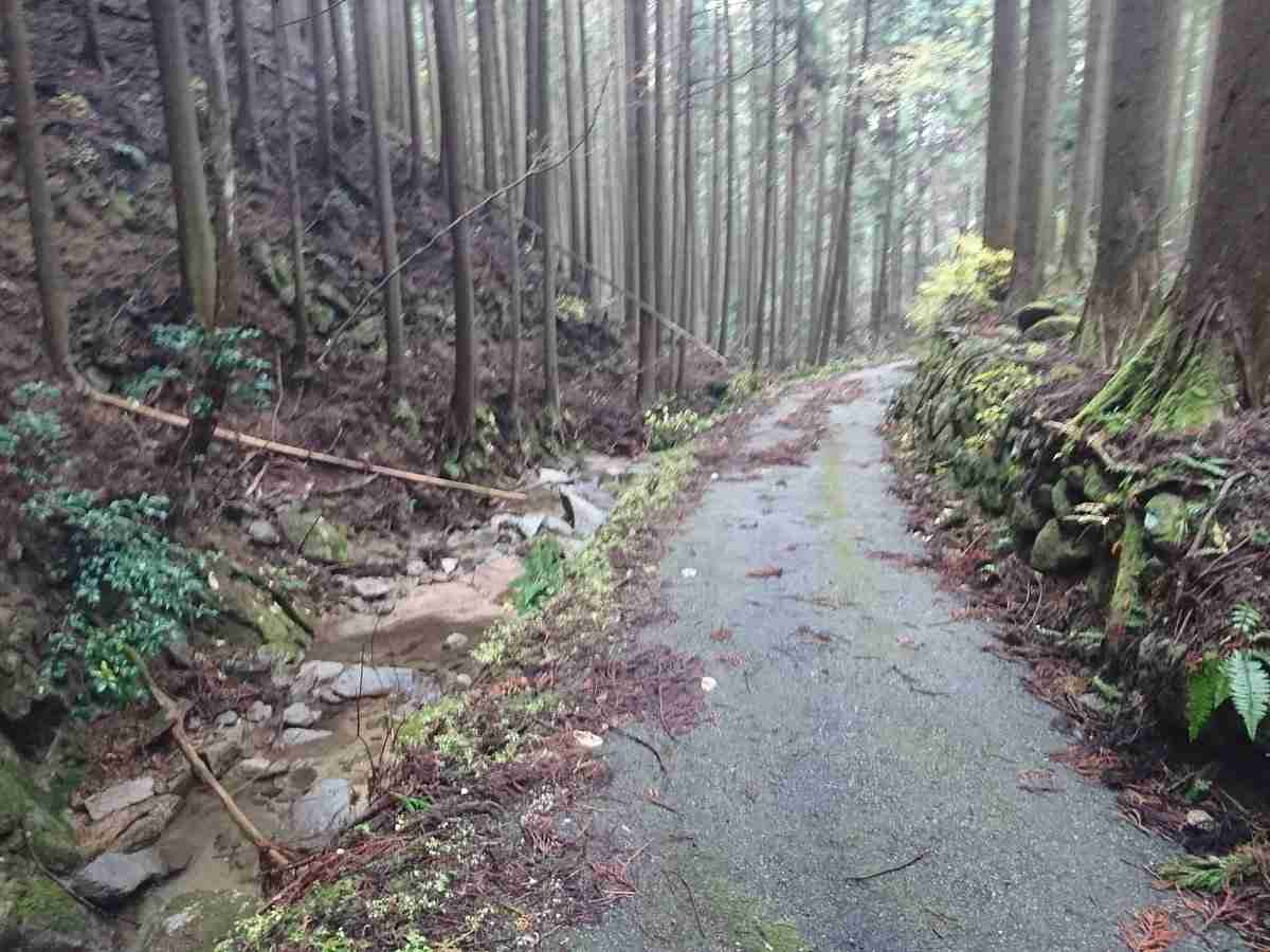出来るか、出来ないか + -