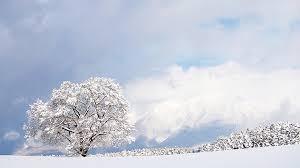 雪景色の画像が見たい