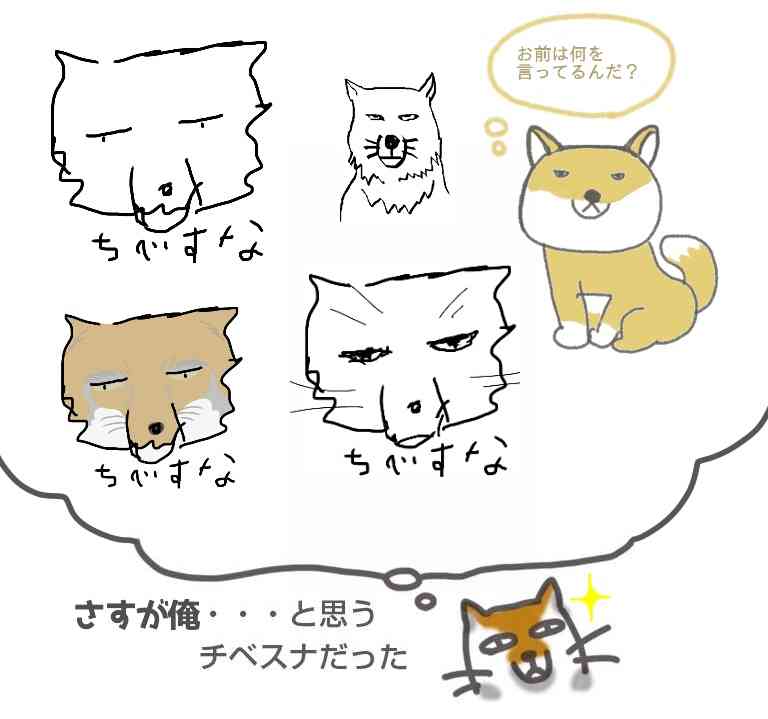 猫か象かチベスナの画像を張るトピ