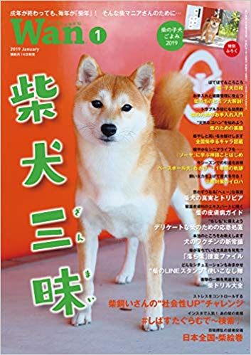 【定期トピ】雑誌付録1・2月号