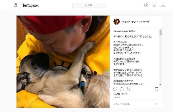 長与千種、愛犬が手術中に死亡　獣医に怒り「謝りも説明もない。二度と医術に携わるな」 | キャリコネニュース