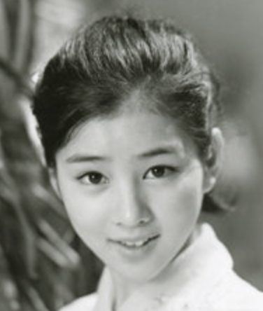 昭和の美人タレントの画像を貼ってください