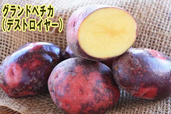 定番野菜じゃないけどオススメなもの