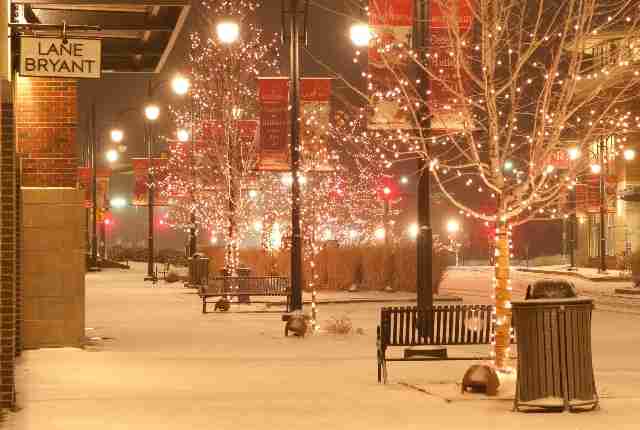 冬好きさん 『画像』